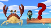 Animal Crossing: New Horizons - All Sea Animals With Price + Location (July Update)