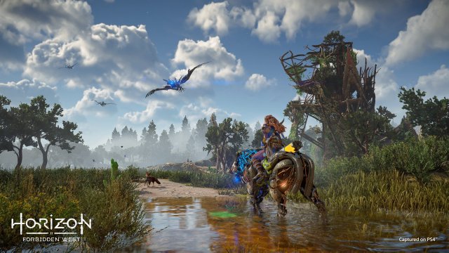 Screenshot - Horizon Forbidden West (PS4)