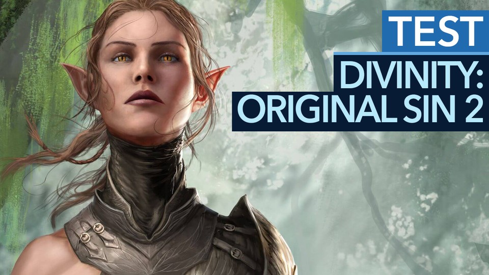 Divinity: Original Sin 2 - Test Video: A MUST for RPG fans!