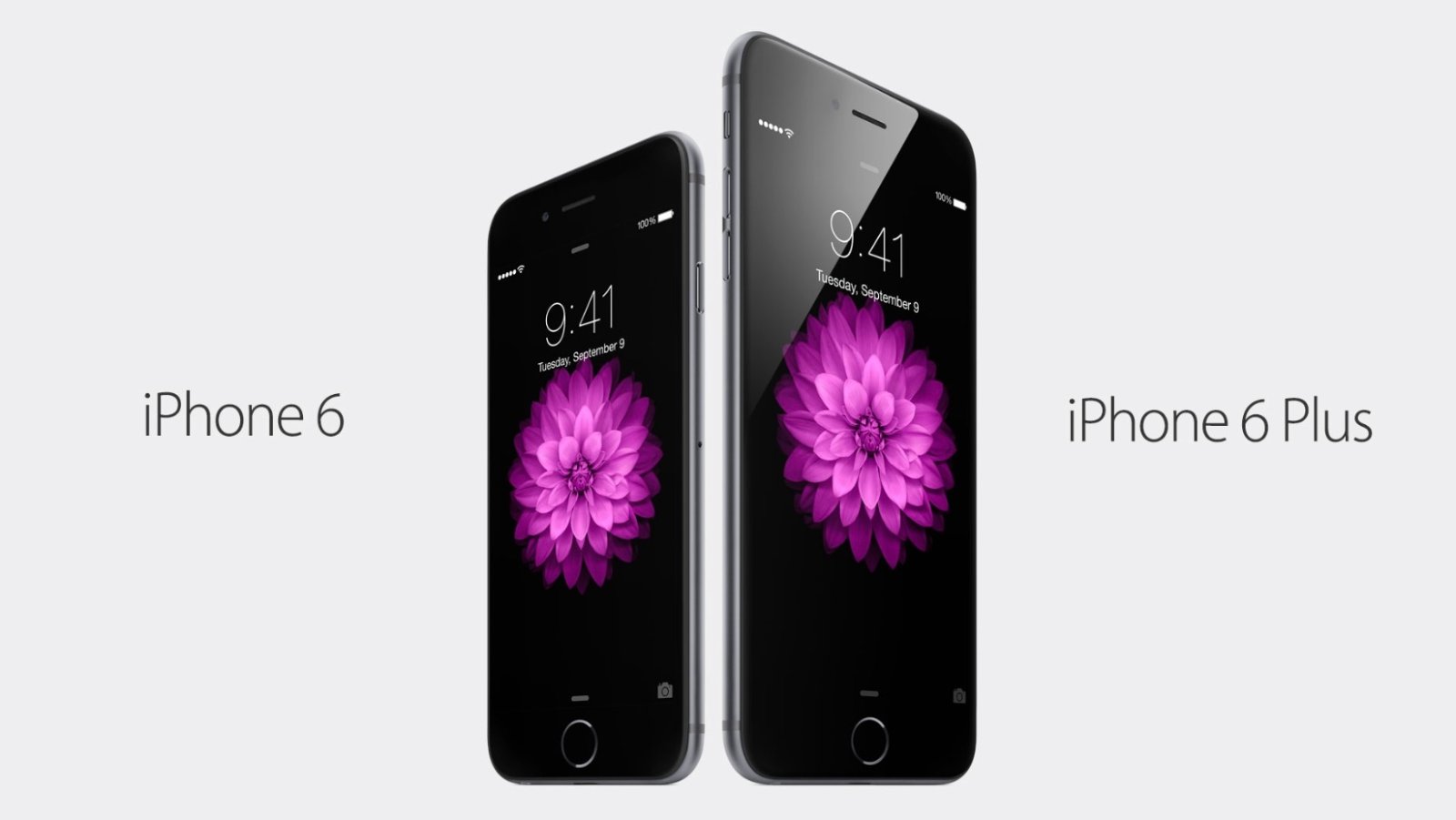 iPhone 6 y 6 Plus