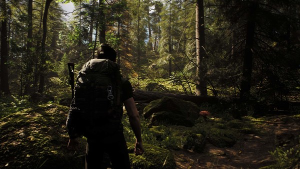 Rooted with Unreal Engine 5: New life sign from survival game