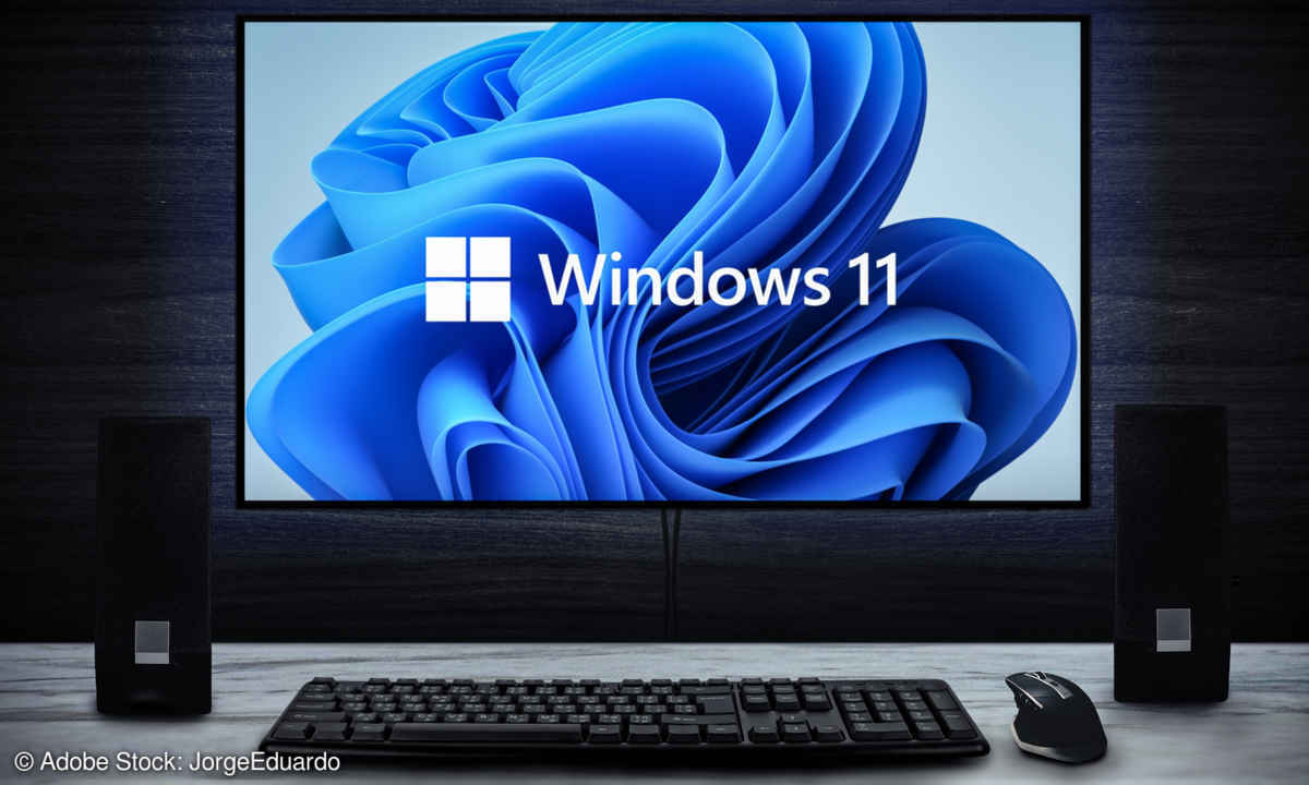Monitor setup with Windows 11 logo