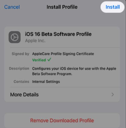 Install iOS 16 Beta profiles