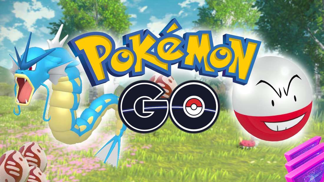 The Pokémon Gyarados and Electroball next to the Pokémon GO logo