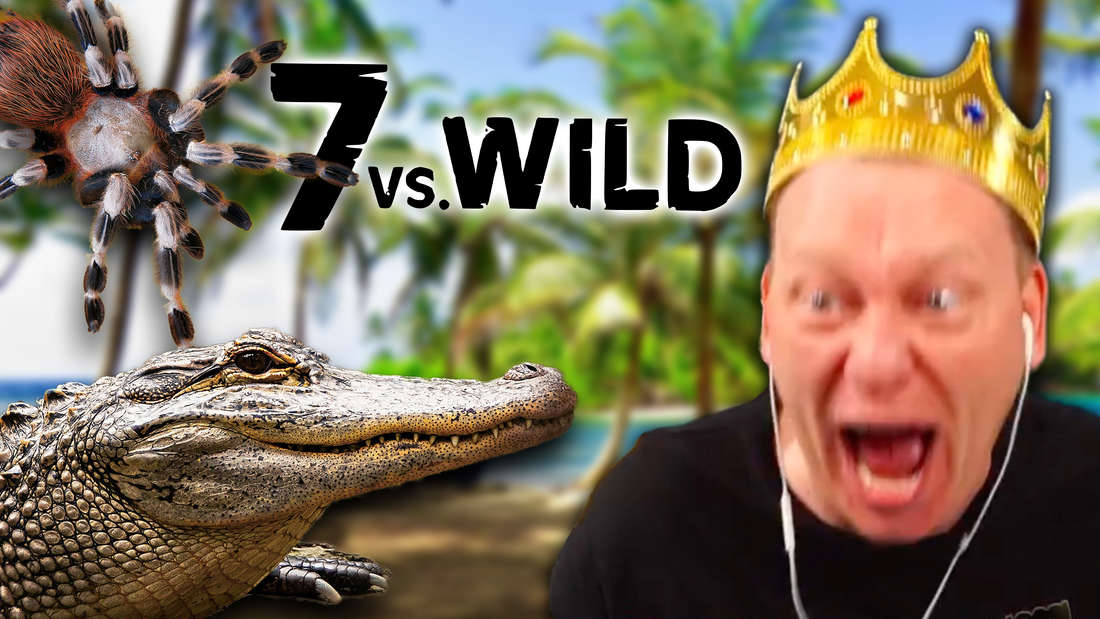 Knossi freaking out.  Next to it a spider and a crocodile as well as the logo of 7 vs Wild