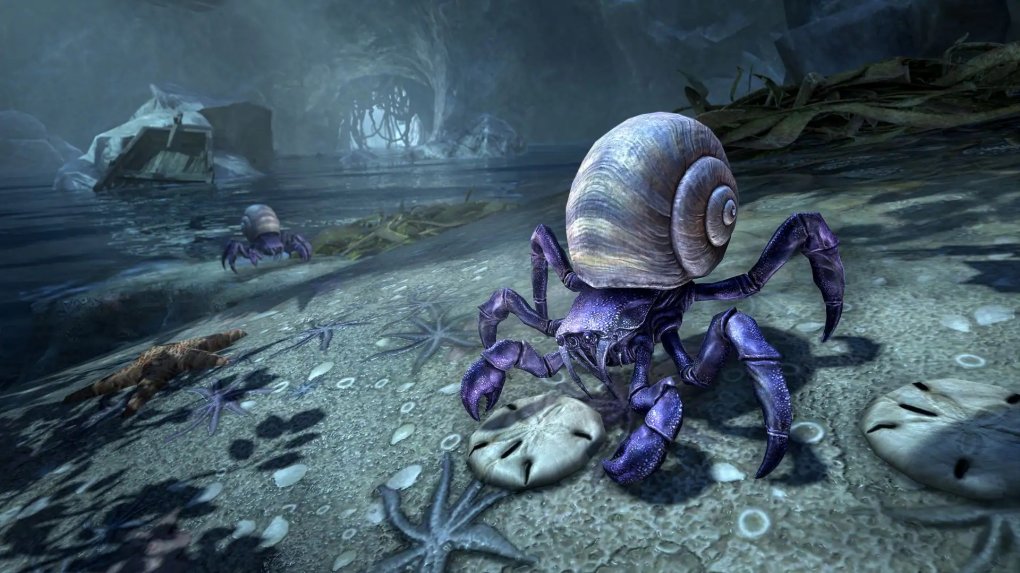 TESO: Lost Depths: The mulberry hermit crab pet.