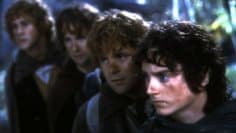 The Lord of the Rings: Frodo, Sam and Co.