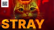 Stray has a meow button, which makes it game of the year potential