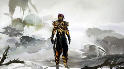 Guild Wars 2 beginners can purchase racial armor in their capital at level 35.  The medium armor in the screenshot can only be worn by sylvari like this ranger.