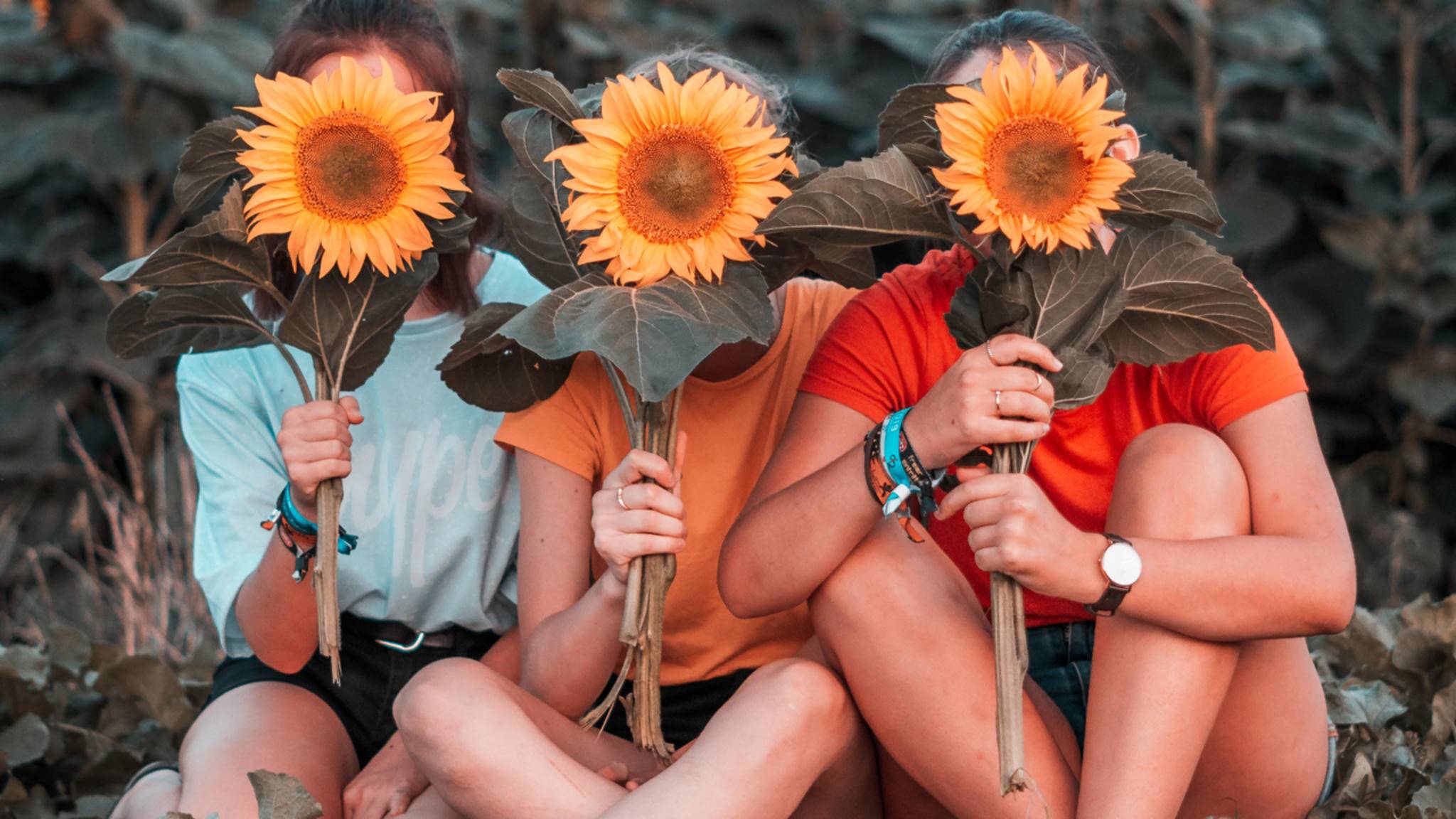 whatsapp-friendship-beautiful-sayings-friends-sunflowers