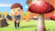 Mushroom Season in Animal Crossing: Locations +amp;  all recipes