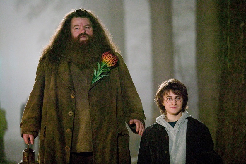 Robbie Coltrane actor who played Hagrid in the Harry Potter movies, dies at 72, GamersRD