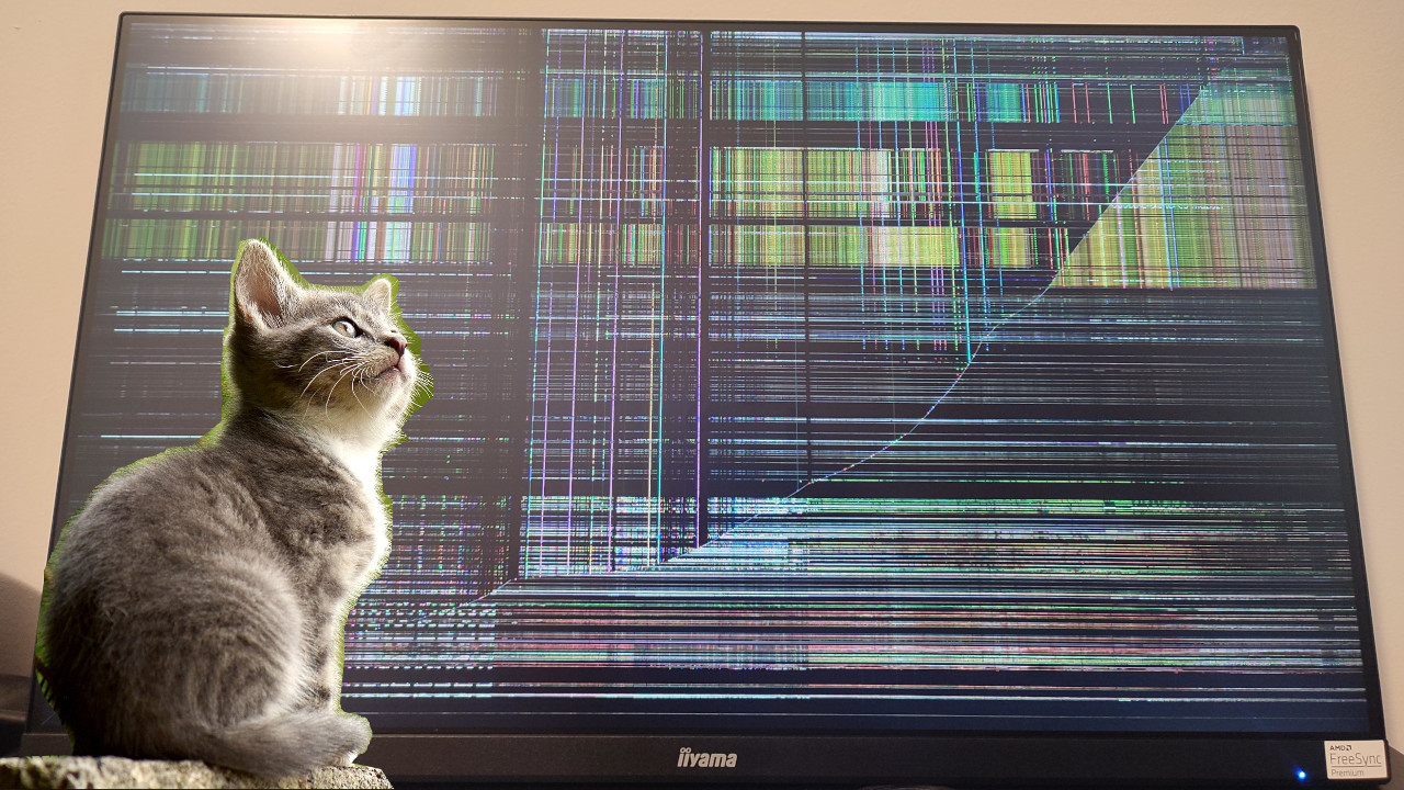 Cat allegedly destroys gaming setup – community scolds: owner should finally teach her manners