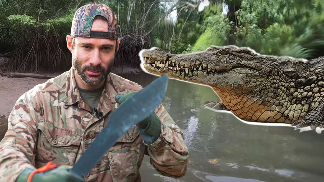 Otto Bulletproof 7 vs. Wild Panama looking for Crocodile
