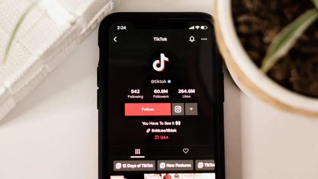 TikTok app on a phone
