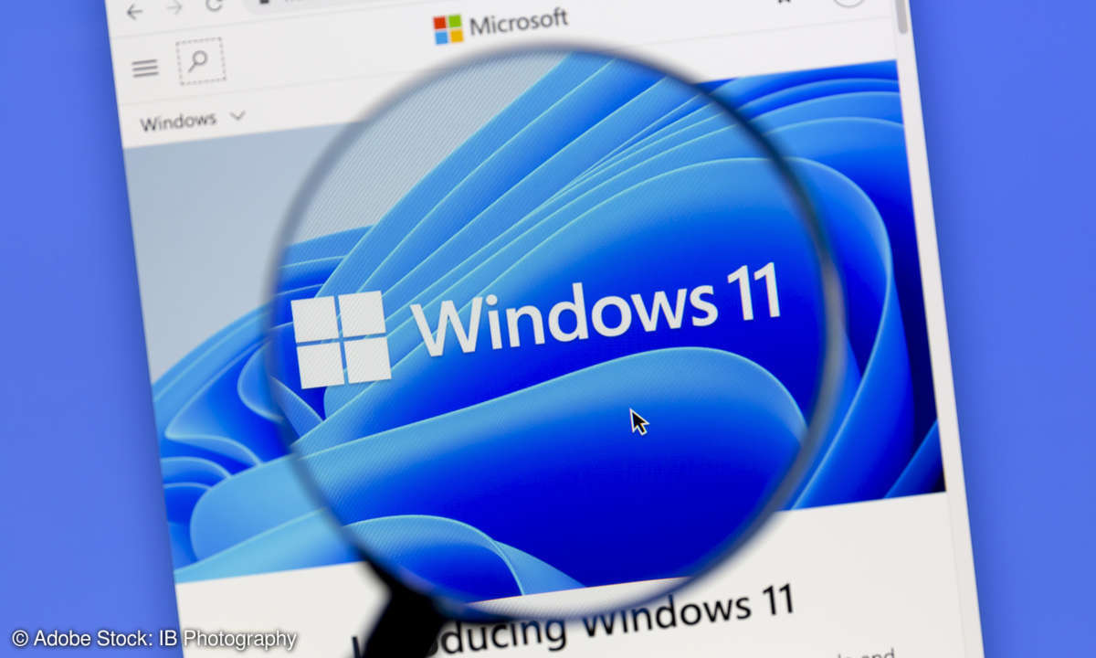 The Windows 11 logo under a magnifying glass