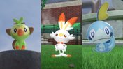 Pokémon Sword + Shield: Starters + their developments at a glance