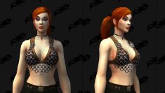 The new chain bikini of the trading post in WoW.  (8th)