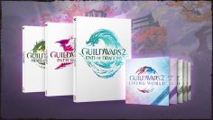Guild Wars 2: Get expansions at a low price thanks to Black Friday!  (1)
