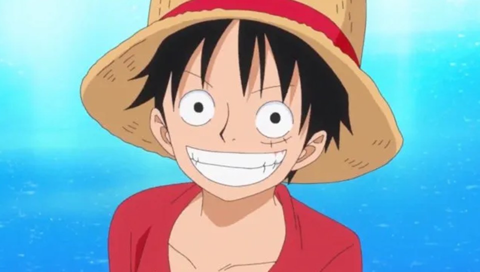 In One Piece, not only Monkey D. Luffy can draw on the powers of a devil fruit.