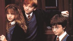 Harry, Hermione and Ron.