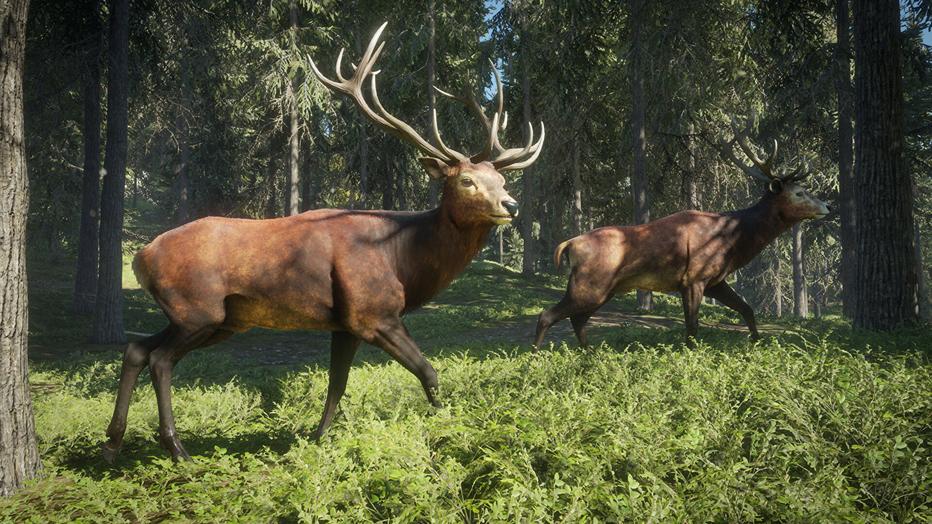 Stalking deer in theHunter: Call Of The Wild helps stave off social media-induced brain rot