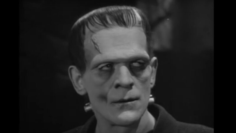 Frankenstein_Movie_1931